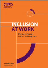 Inclusion at work: perspectives on LGBT+ working lives